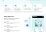 build web and mobile app with whatsapp chatbot